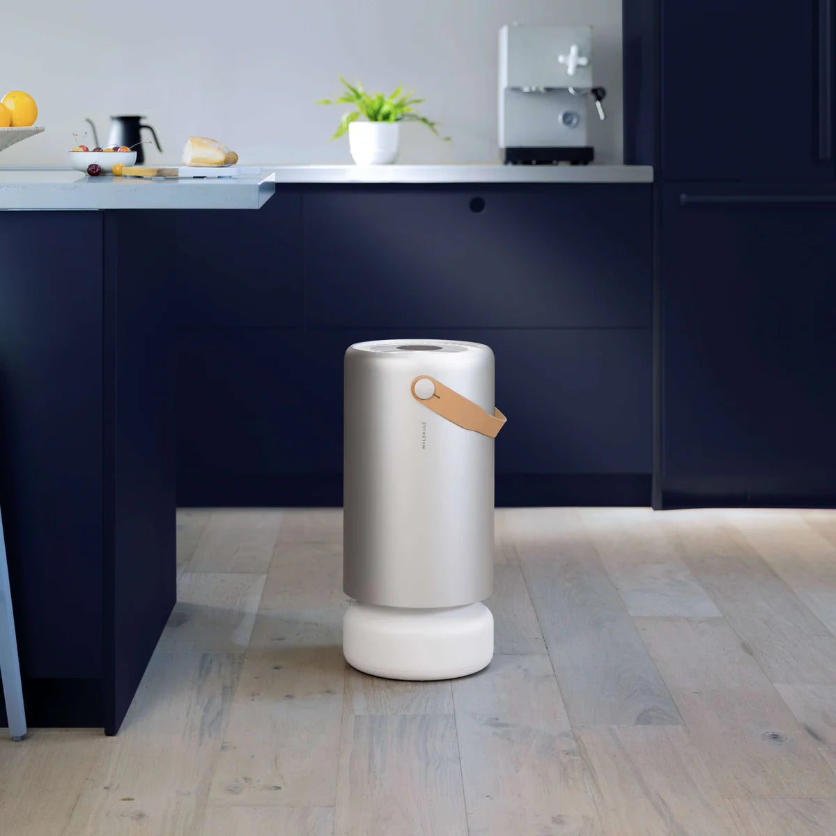 PureAir Pro MOLEKULE
